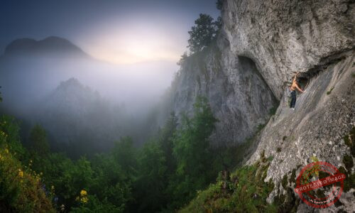 Vertikálna sloboda.
